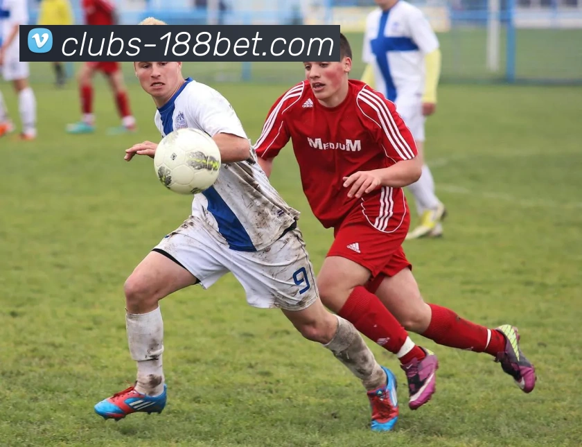 多媒体互动体验